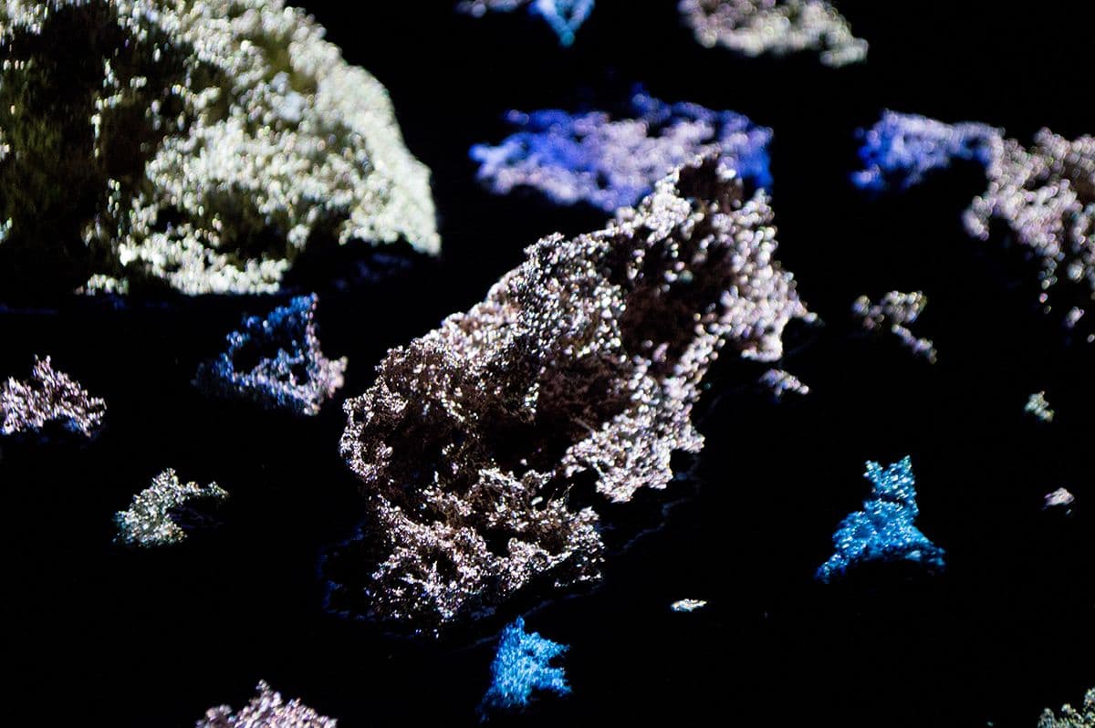 Uncharted Territories installation photo