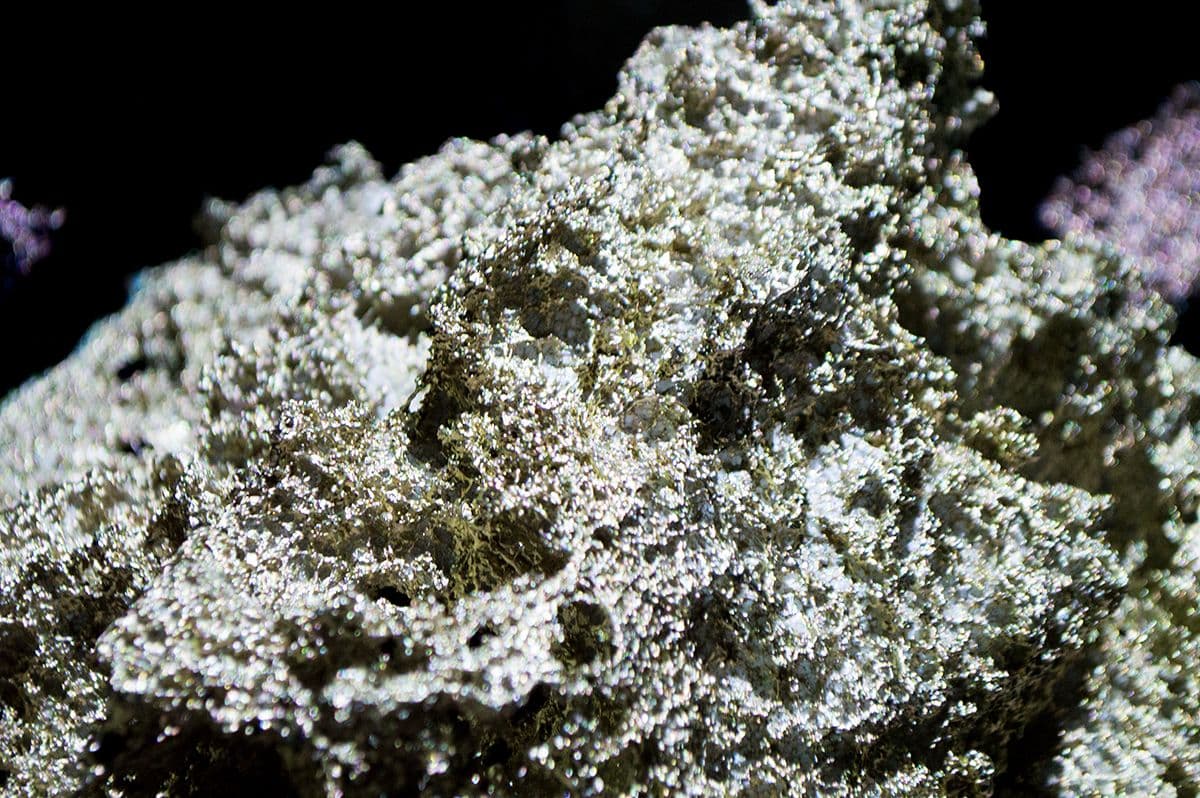 Uncharted Territories installation photo